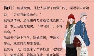 求比较经典的男主超宠女主的现代言情小说